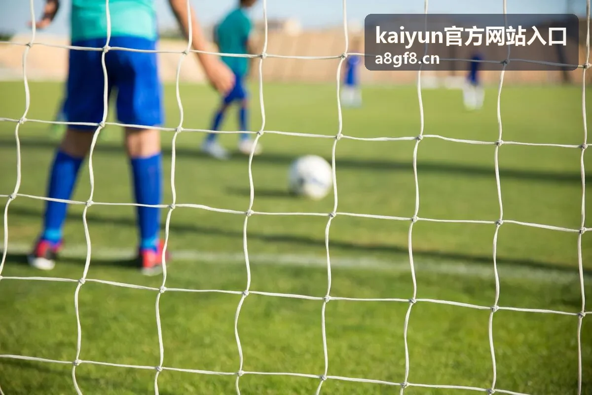 kaiyun官方网站入口访问通道识别与核对步骤