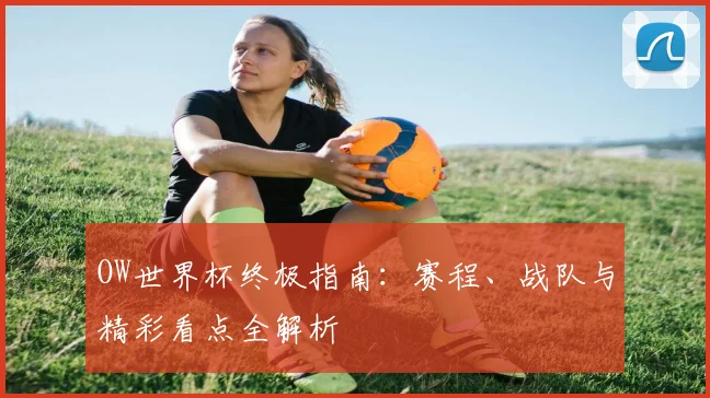 OW世界杯终极指南：赛程、战队与精彩看点全解析