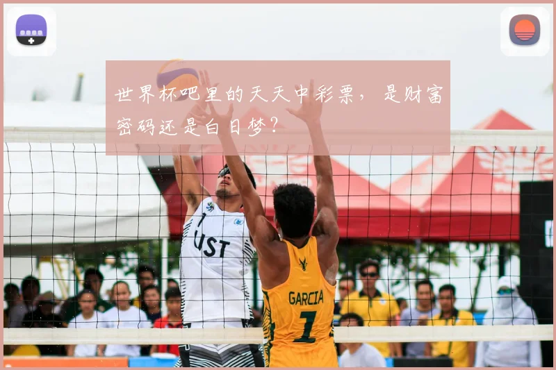 世界杯吧里的天天中彩票，是财富密码还是白日梦？