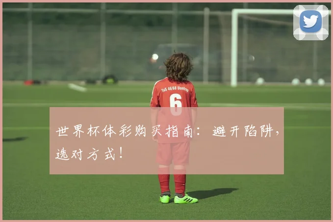 世界杯体彩购买指南:避开陷阱,选对方式!
