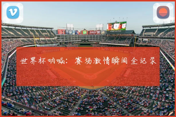 世界杯呐喊：赛场激情瞬间全记录
