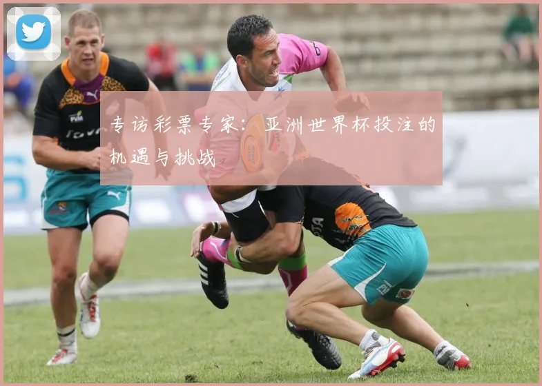 专访彩票专家：亚洲世界杯投注的机遇与挑战