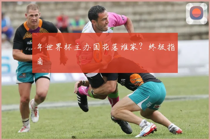 年世界杯主办国花落谁家？终极指南
